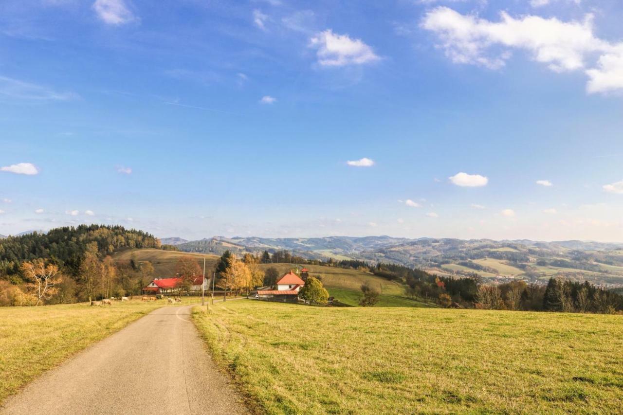 Ubytování Na prženských pasekách Mikuluvka Exterior foto
